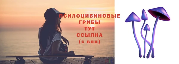 амф Алексин