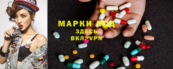 сатива Алексеевка